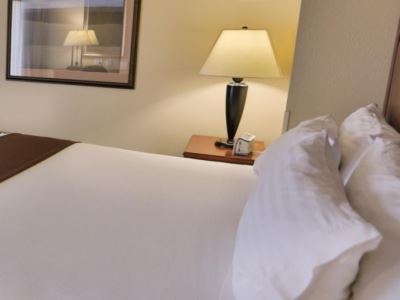 Express & Downtown By Ihg Hotel Asheville
